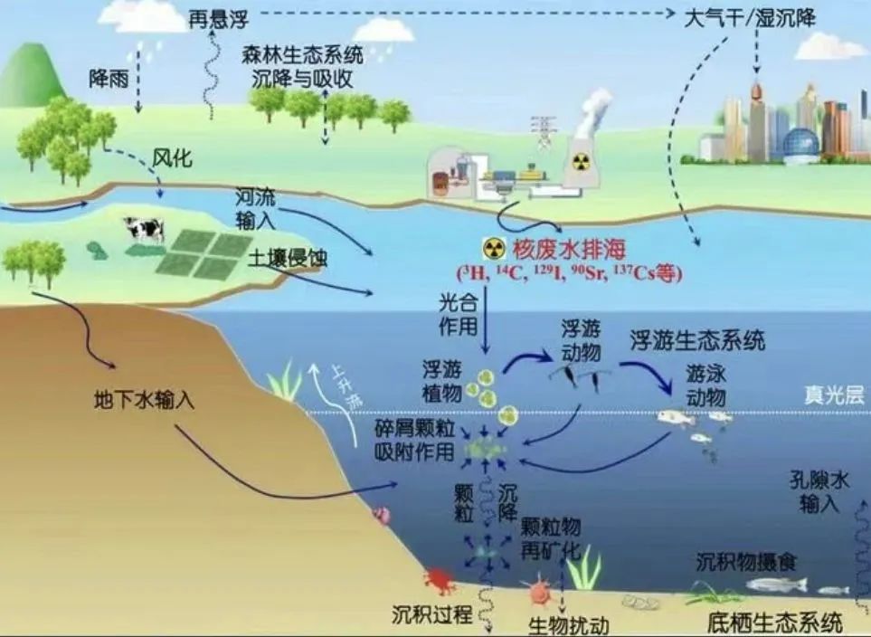 2024奥门原料免费资料